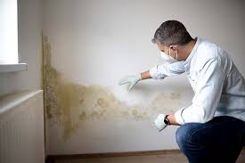 Best Mold Documentation for Insurance Claims  in Rogers City, MI